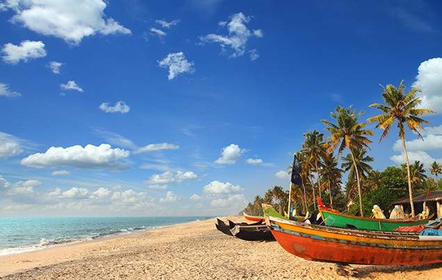 Day 3 Alleppey to Kochi