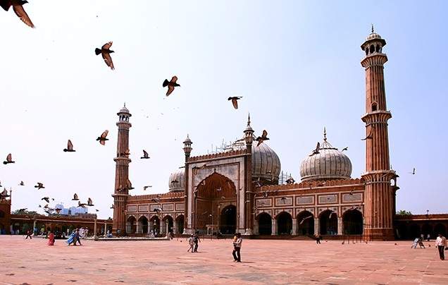 Day 3: Discover Delhi