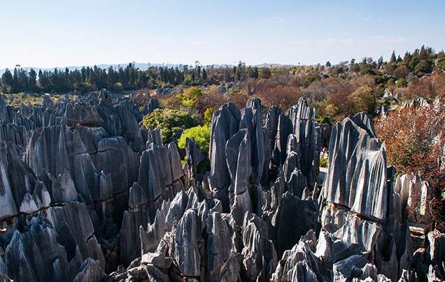 Day 11: Explore Kunming