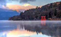 Festive Weekend Sale 