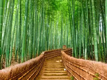 Wendy Wu Tours hits the road! 