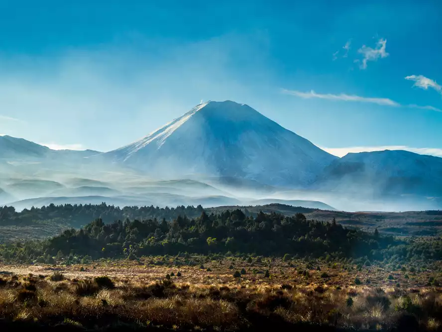 New Zealand announces their phased re-opening of its borders