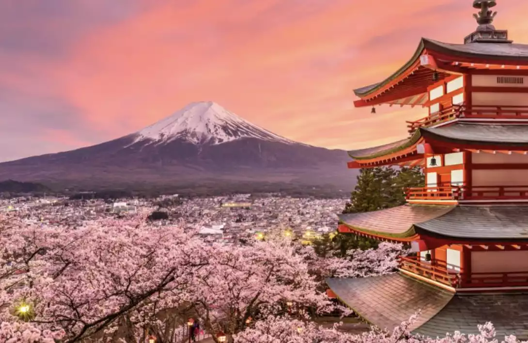New cherry blossom departures announced for 2024