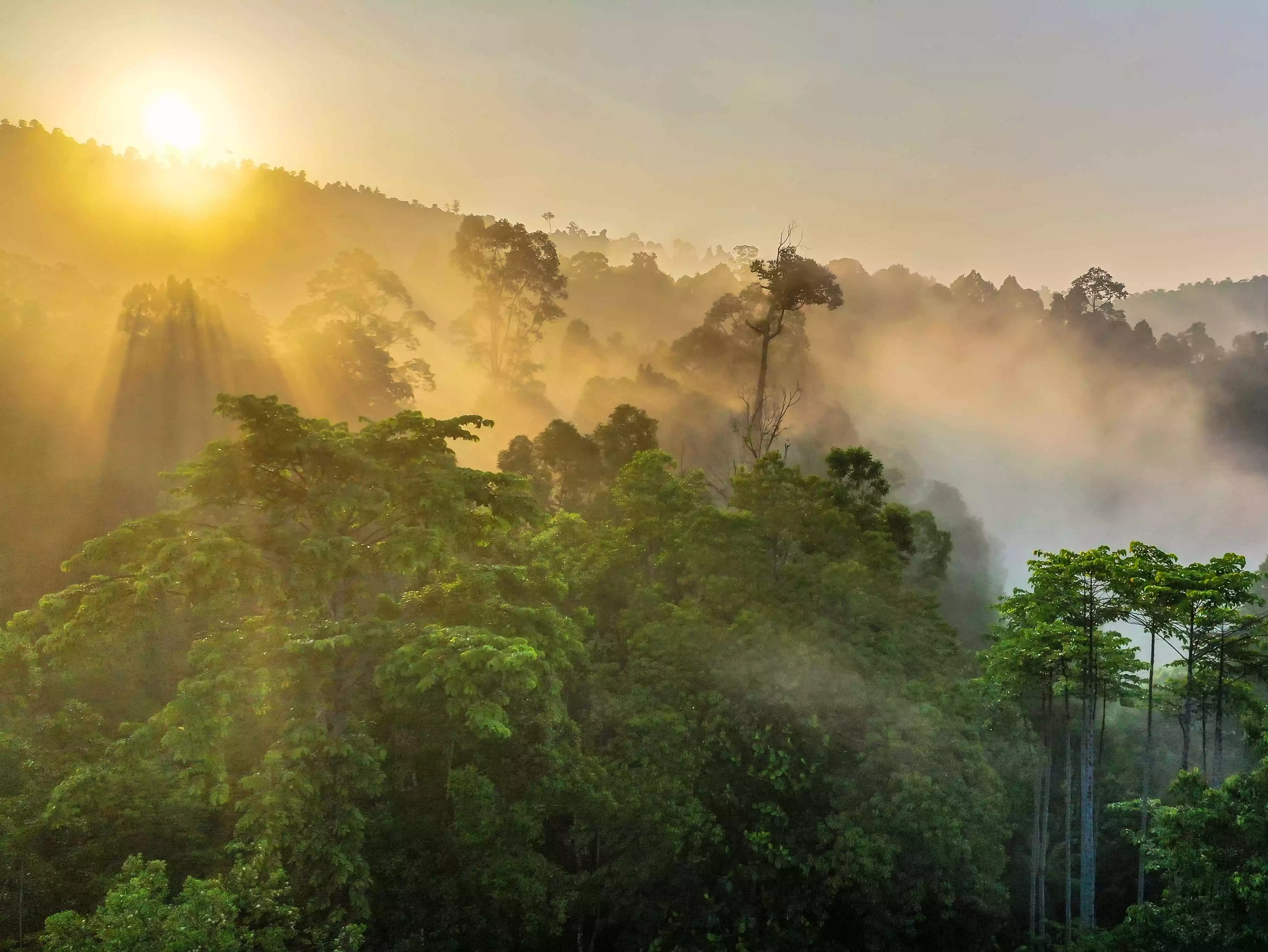 Testing to be scrapped in Malaysia