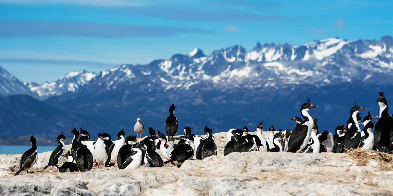 Beagle Channel