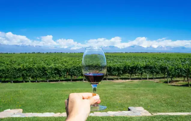 DAY 18: Mendoza Wine Tour
