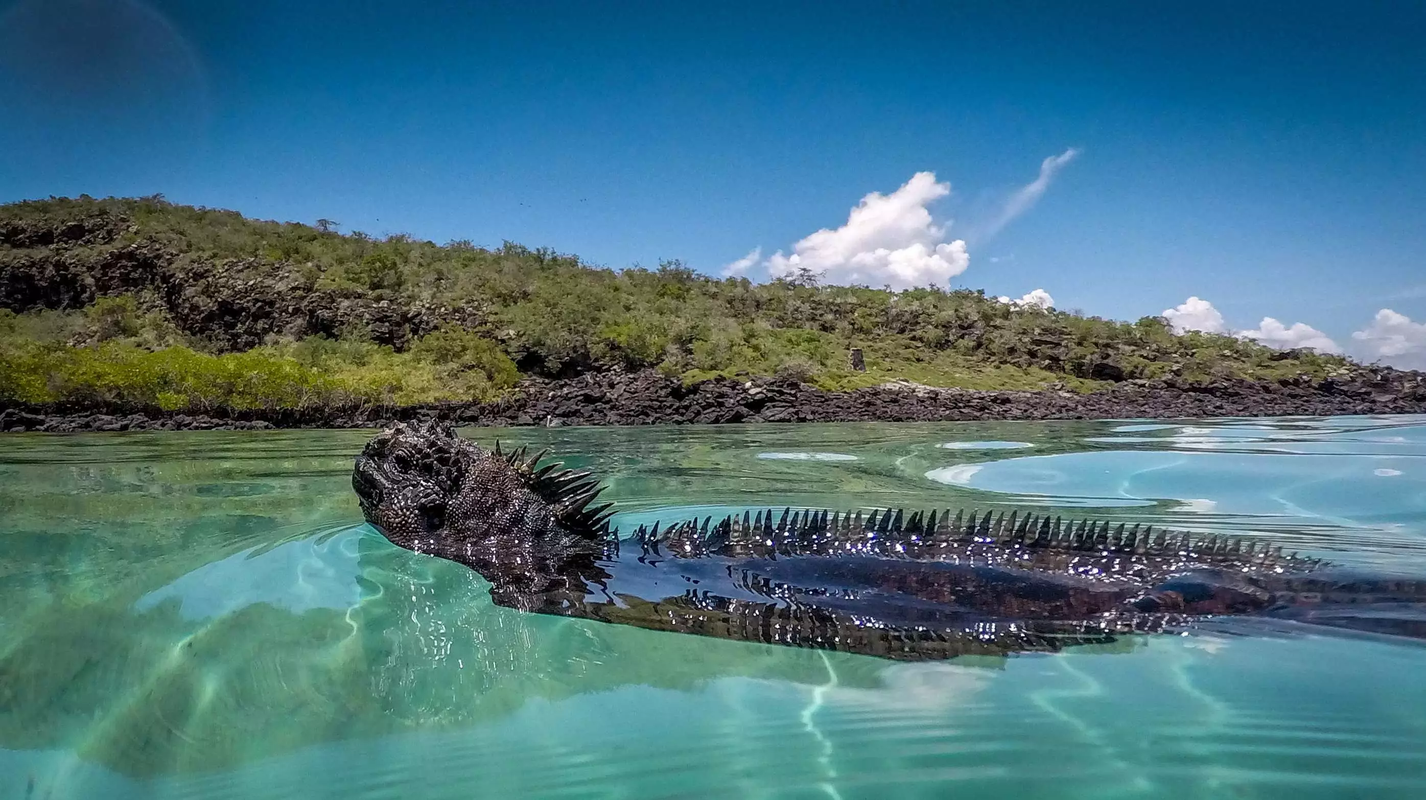 Galapagos by Sea: Northeastern Galapagos Islands 