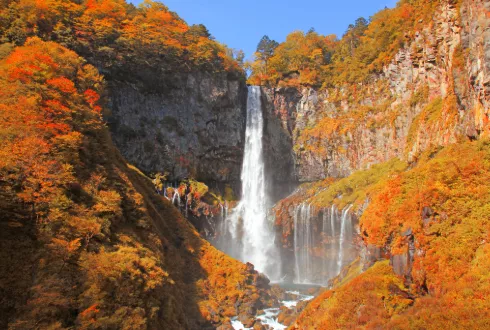 Journey through Japan