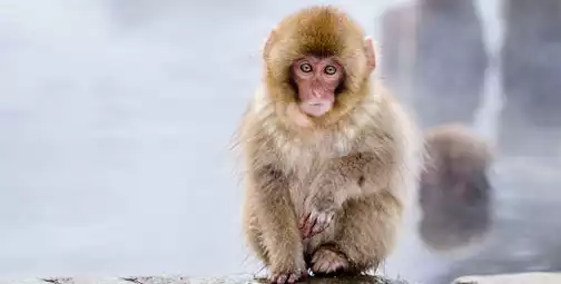  Magnificent nature in Japan