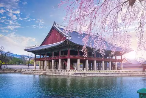 Classic South Korea