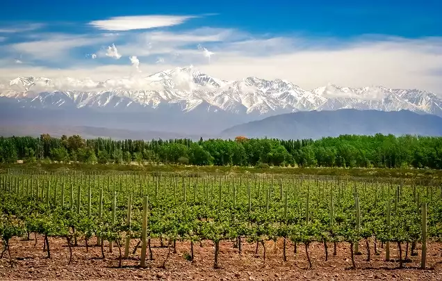 Day 1: Arrive Mendoza