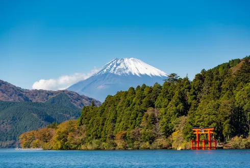 Experience Japan
