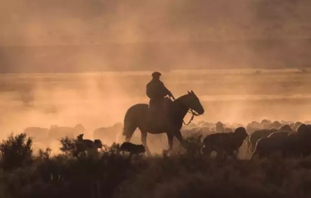 DAY 13: The Pampas