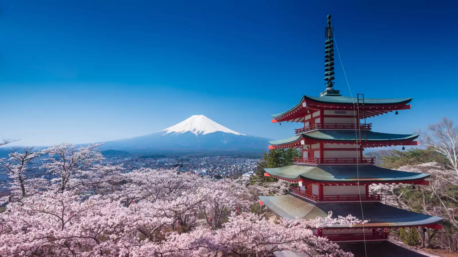 Japan Virtual Travel Show