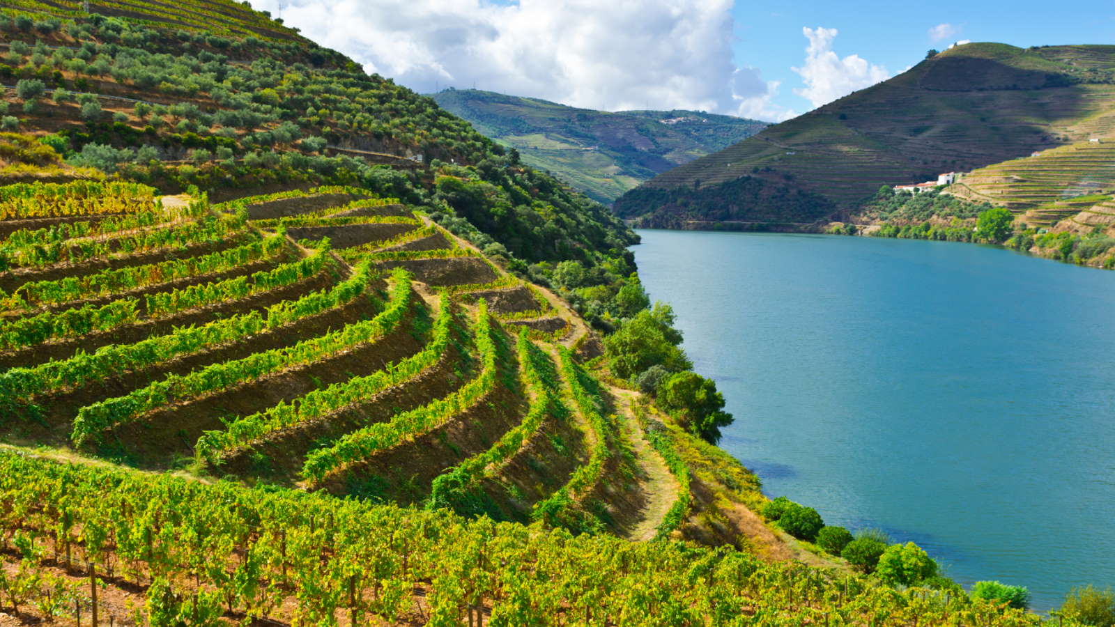 Douro Valley