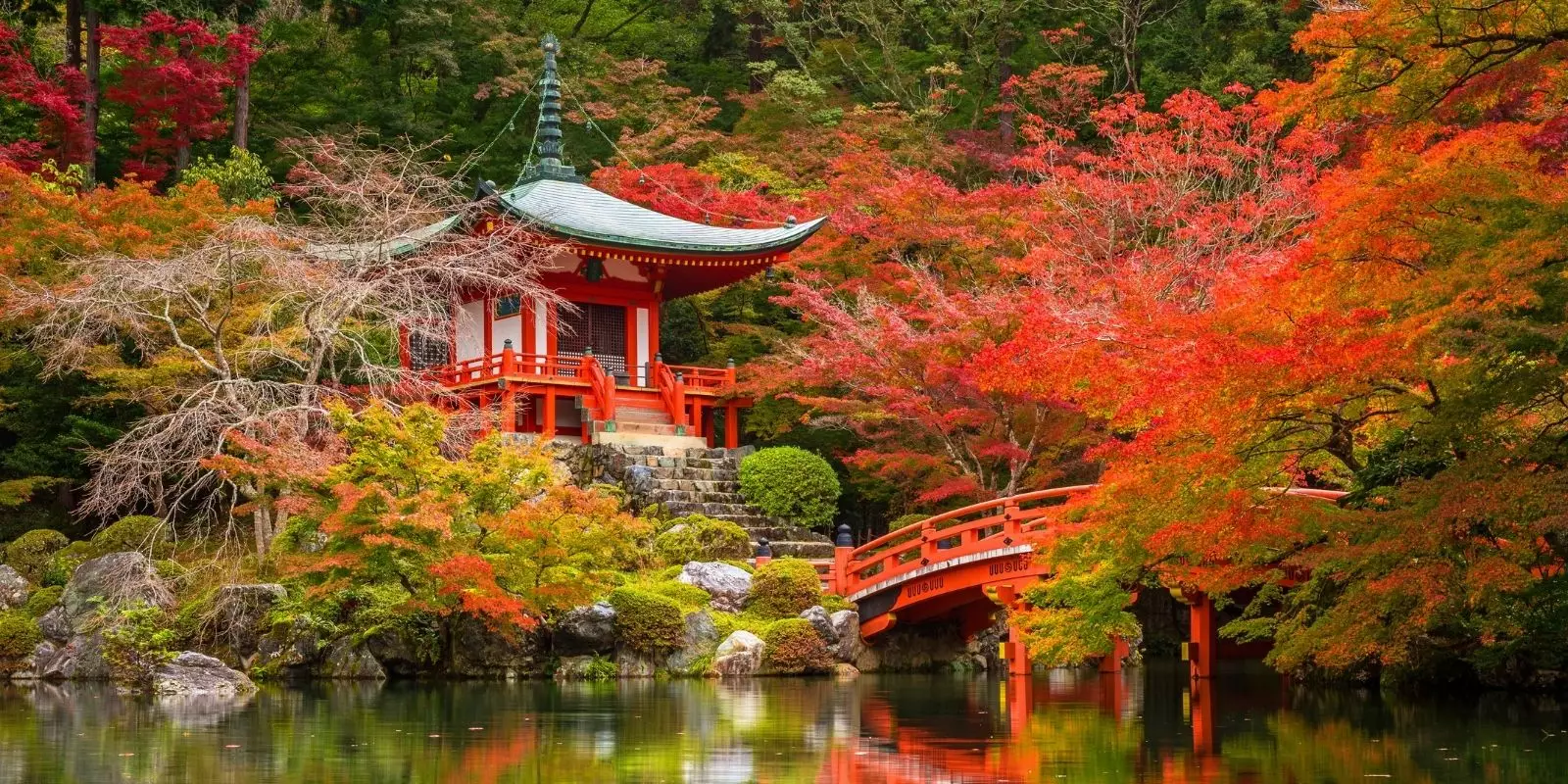 The Autumn Sale