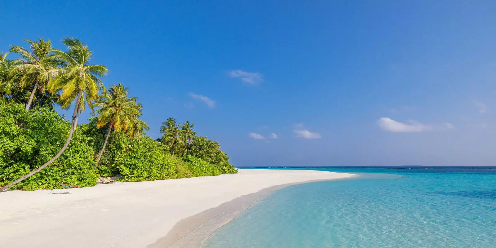 Our Tour and Beach Collection