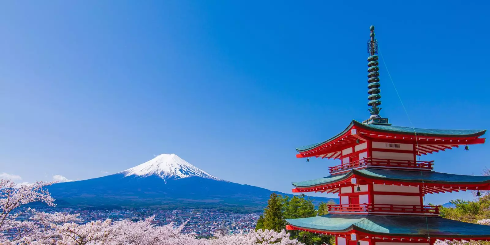 Our Biggest Ever Sale