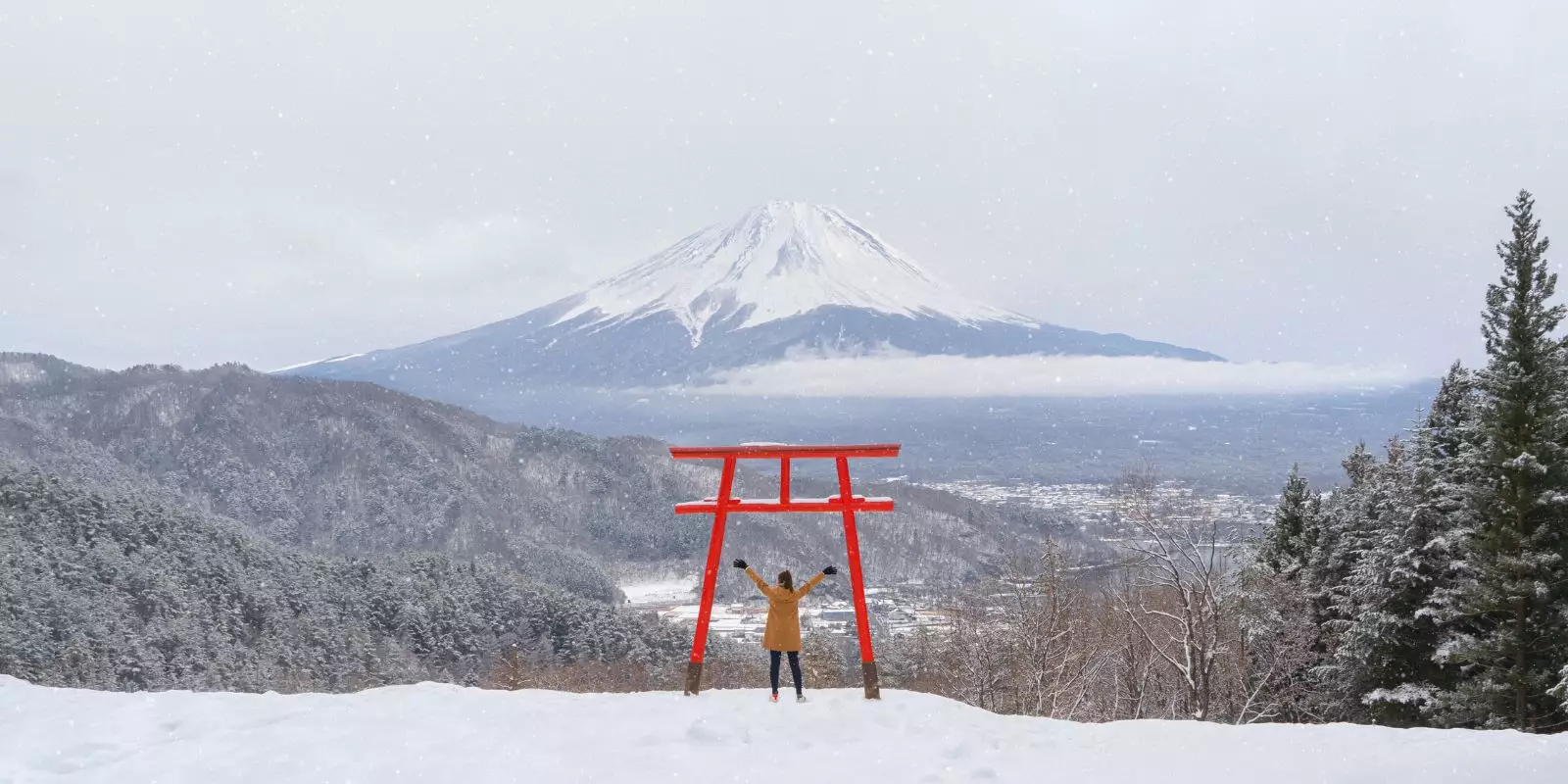 Extraordinary Christmas Journeys