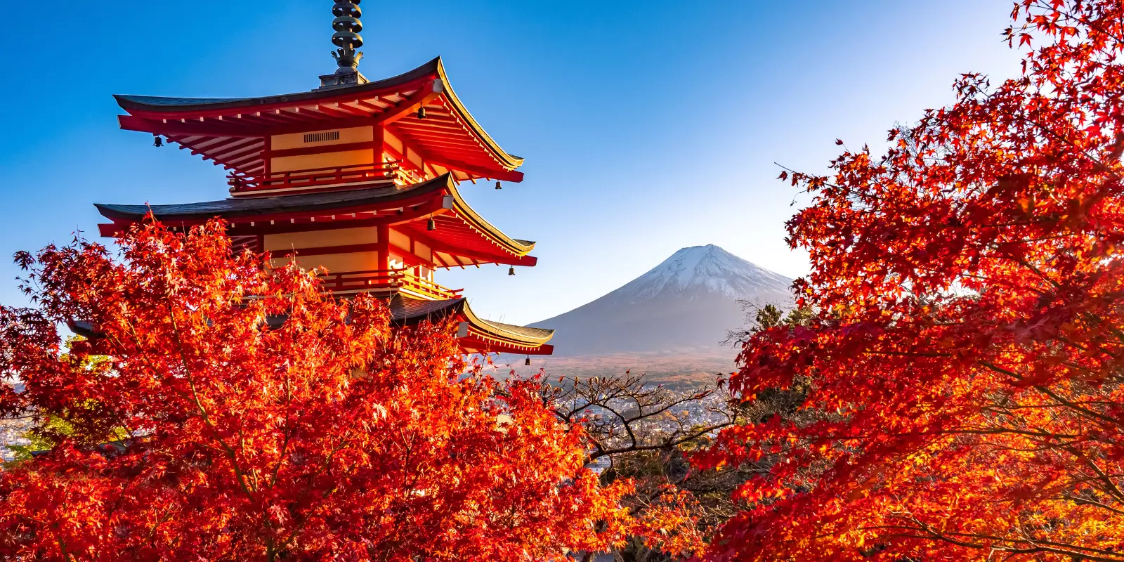 Off-Peak Japan