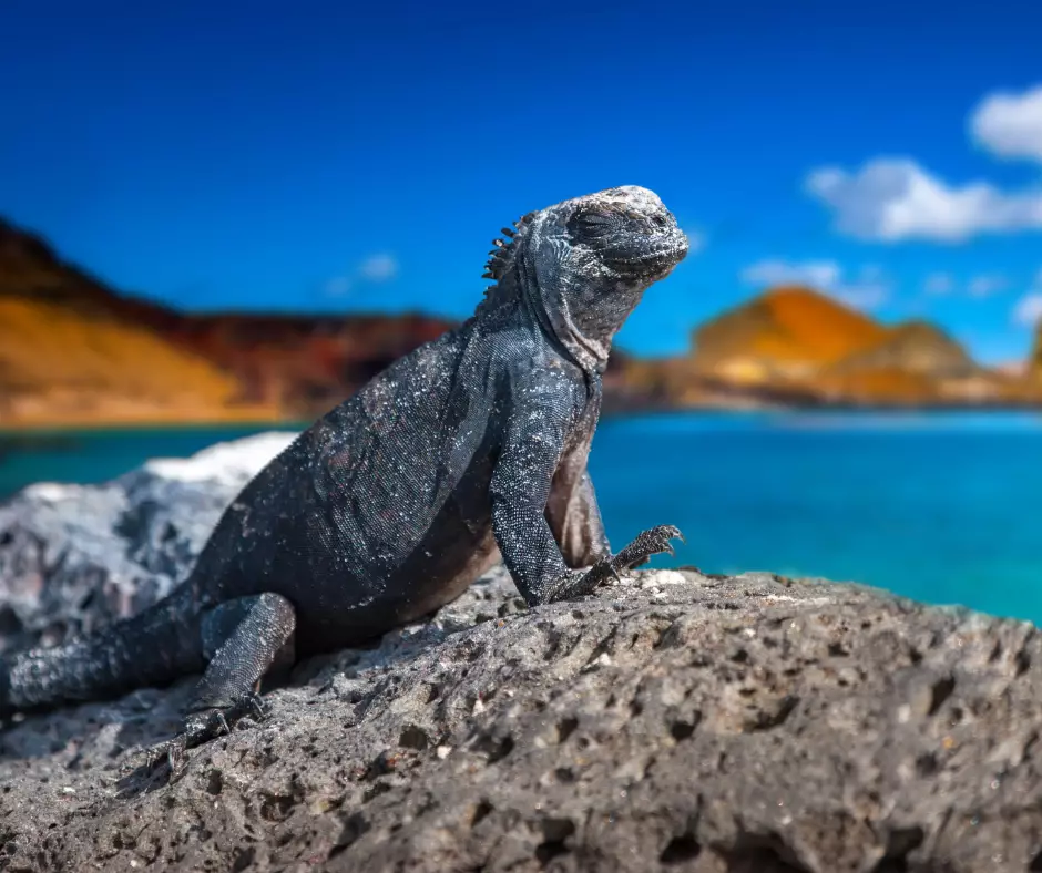 Natural Wonders of Ecuador & Galapagos