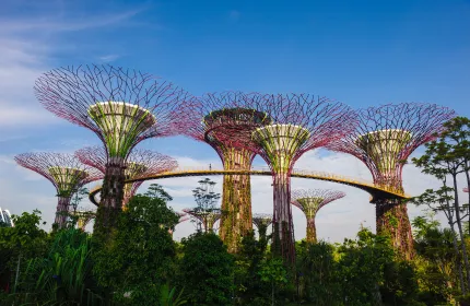 Free Singapore Stopover