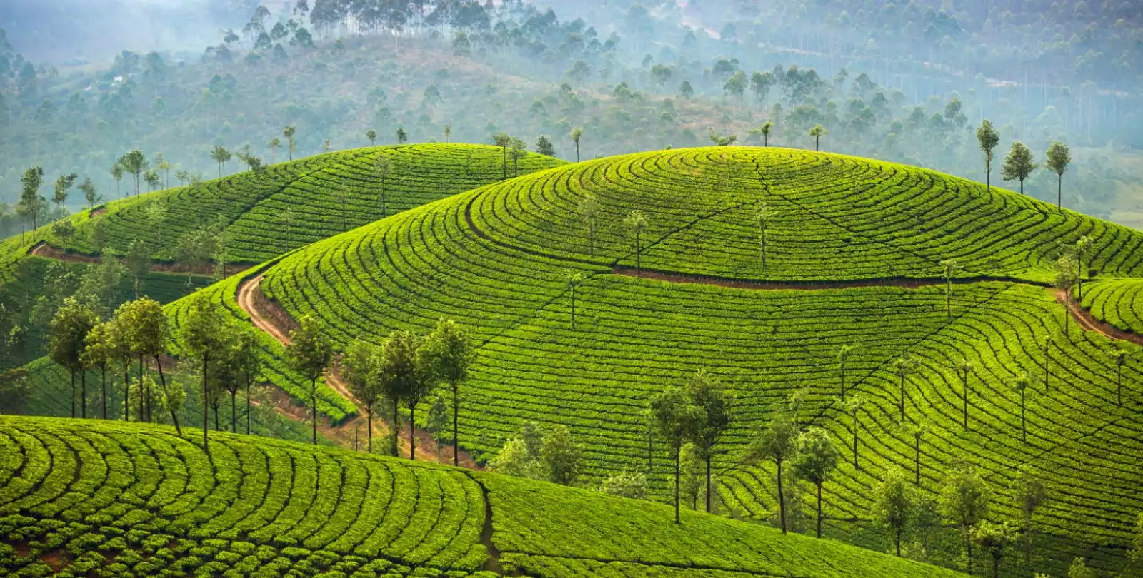 Munnar