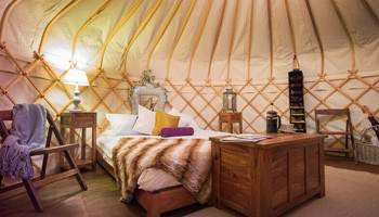 Gobi Tour Bayanzag Ger Camp