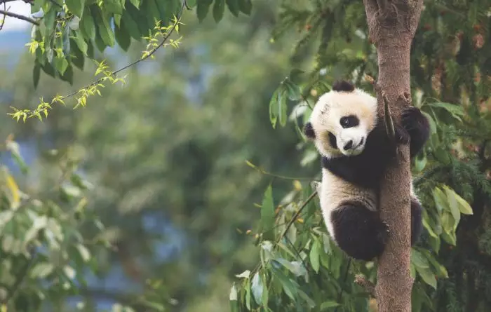 New 2026/27/28 China Brochure Out Now