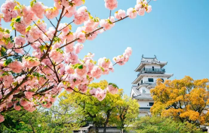 Brand New Tour: Gems of Japan & Shikoku