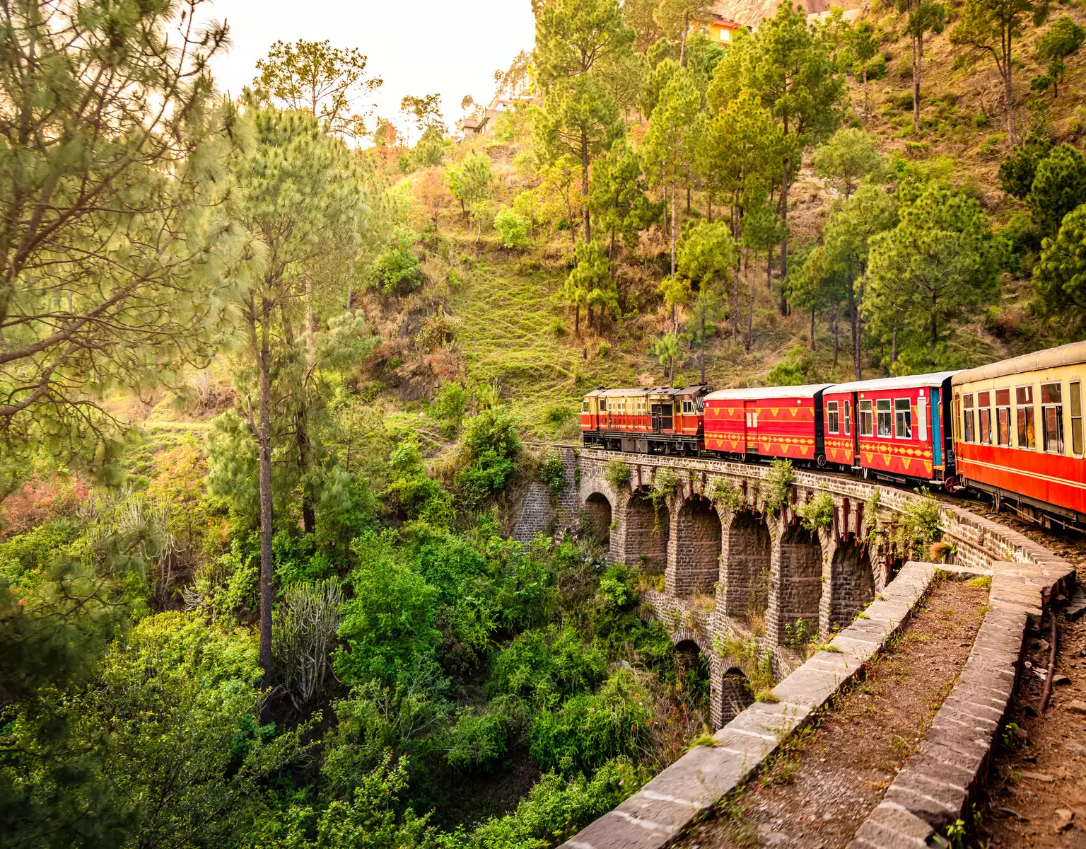 Day 11: Shimla