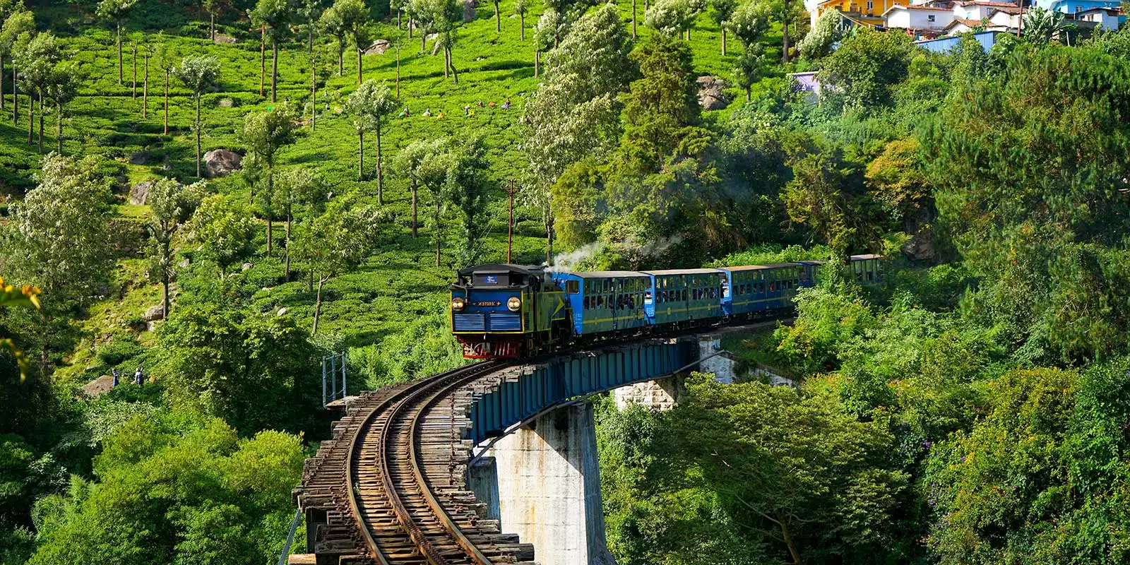 Rail Tours