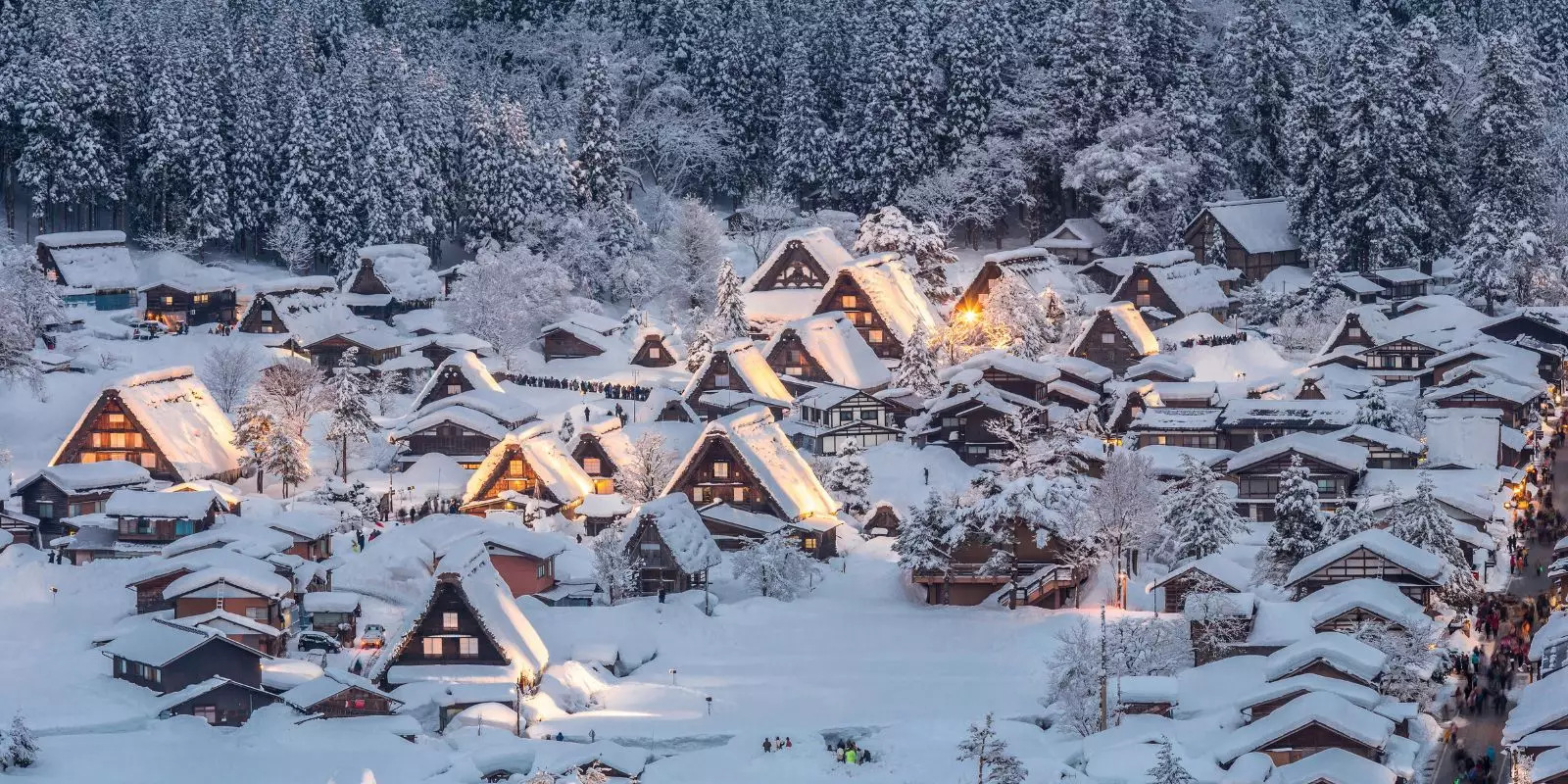 Christmas Tours