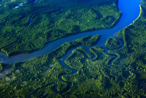 Corcovado National Park 