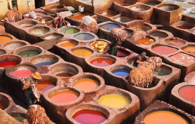 Day 6: Explore Fez