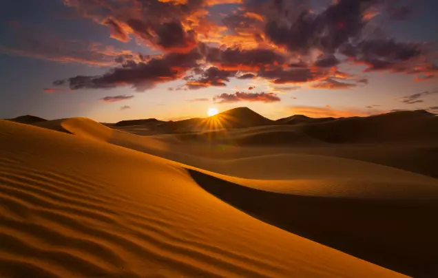 Day 9: Desert Adventure