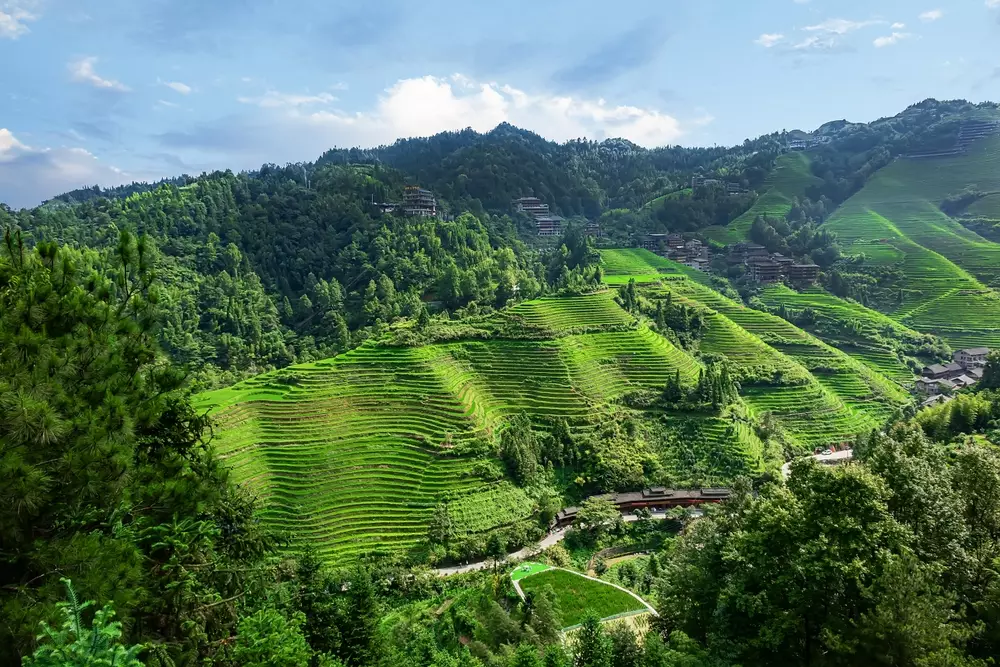 <p>
	Admire the cascading beauty of Longji Rice Terraces, where the fields stretch like a dragon's spine across the rolling hills.</p>