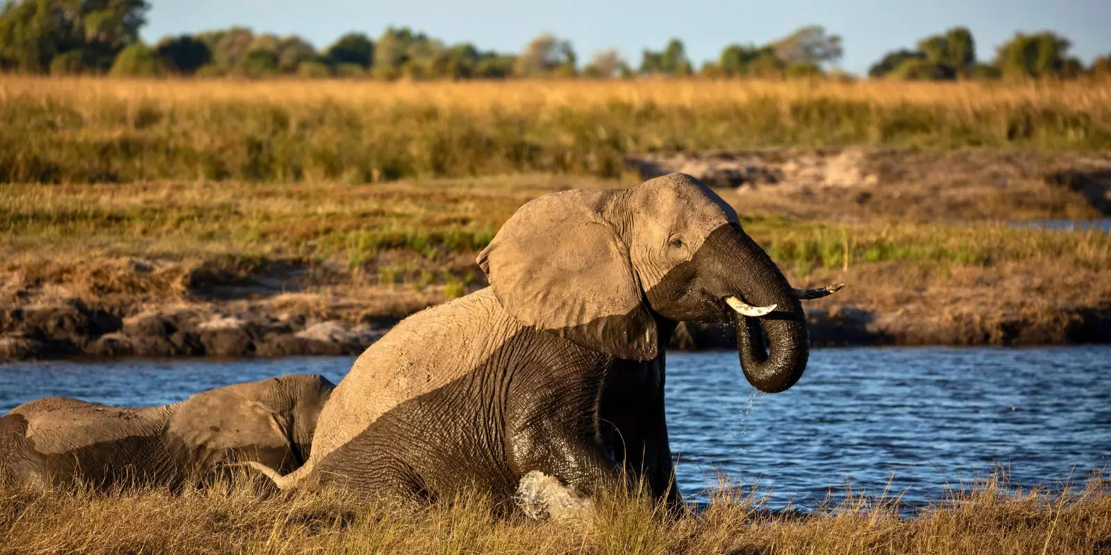 Botswana Tours