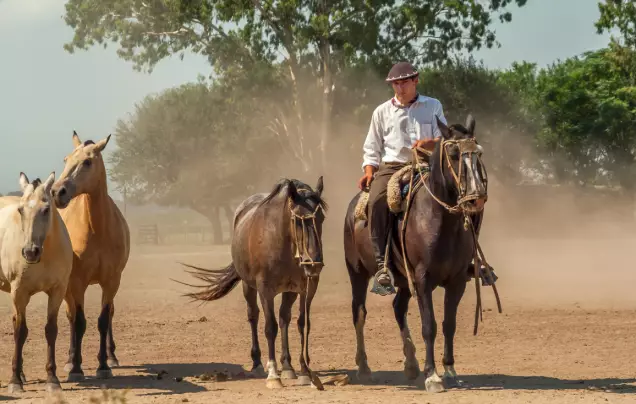 Day 15: Gaucho Experience