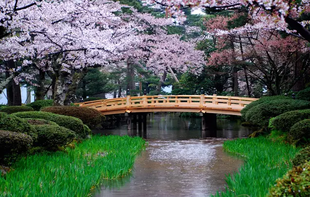 Day 21: Visit Kenrokuen