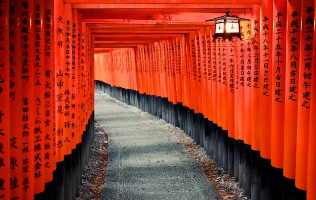 Day 11: Cruise – Kyoto (Osaka)