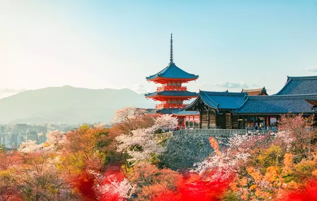 Day 24: Cruise – Kyoto (Osaka)