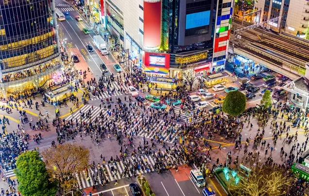 Day 27: Discover Tokyo