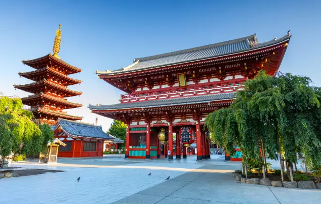 Days 15-16: Cruise - Tokyo