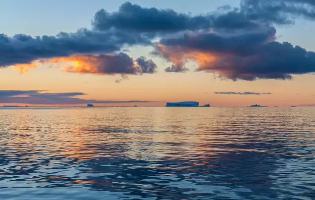 Days 10-11: Cruise – Drake Passage