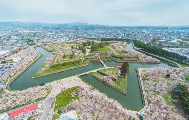 Day 10: Cruise – Hakodate