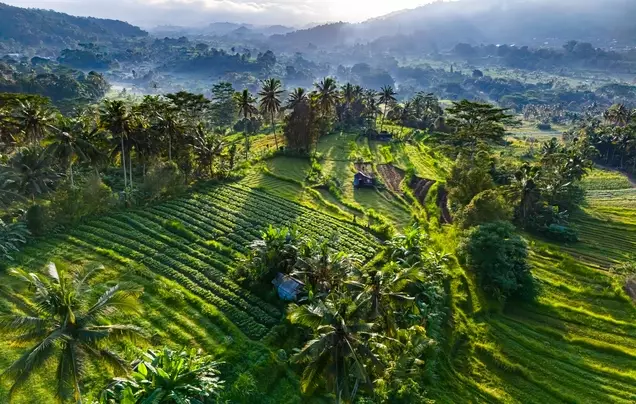 Day 2 Eastern Bali