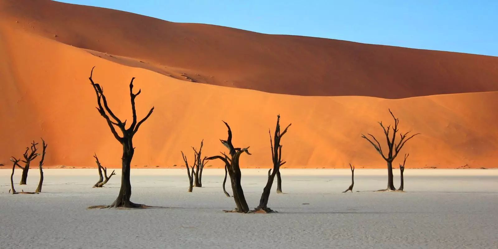 Southern Africa Sale