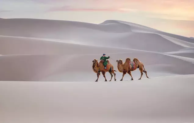 Day 7: Sand dunes of Khongoryn Els