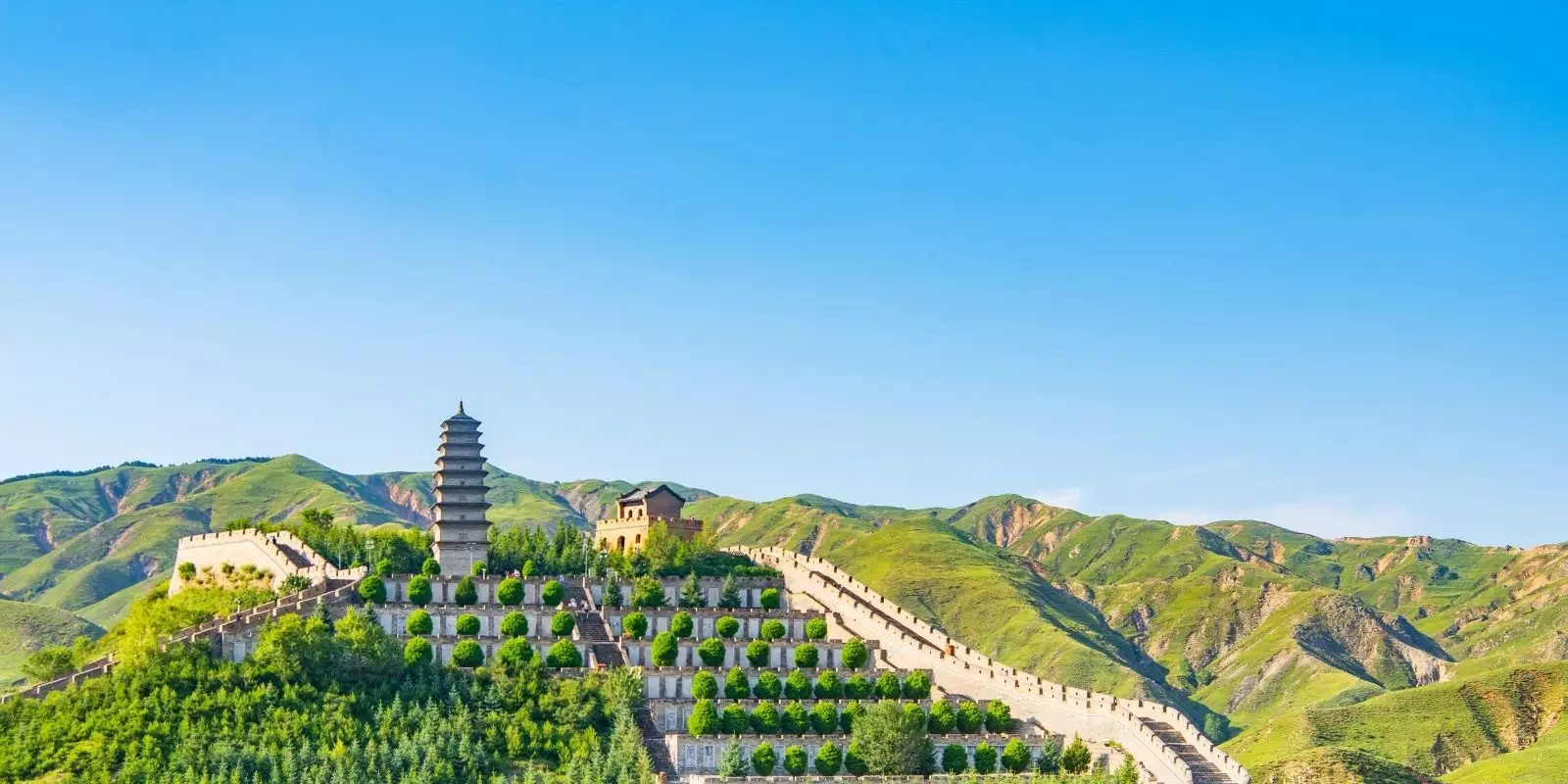 Escorted Tours